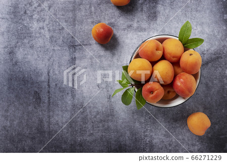 Sweet fresh apricots in the white bowl 66271229