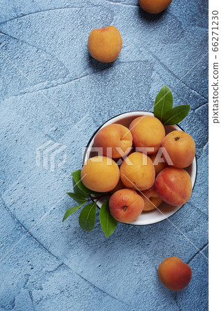 Sweet fresh apricots in the white bowl 66271230