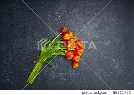 Tulips flowers on natural background. Tulips flowers on natural background. 66271738