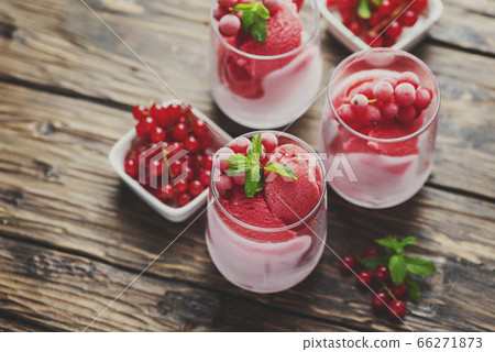 Frozen homade sorbet with red currant 66271873