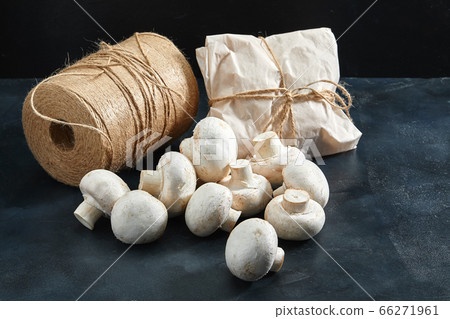 Porcini mushrooms. Copy space, close-up, photo for a grocery store Porcini mushrooms. Copy space, close-up, photo for a grocery store 66271961