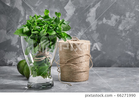 Bunch of fresh mint in a vase of water on a gray background. copies of the space. Bunch of fresh mint in a vase of water on a gray background. copies of the space. 66271990