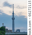 Sky tree  66272115