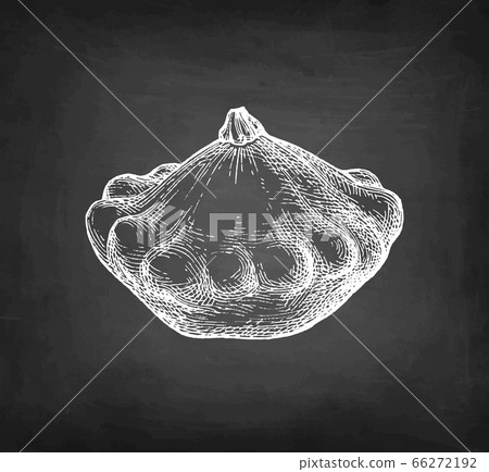 Chalk sketch of pattypan squash. 66272192