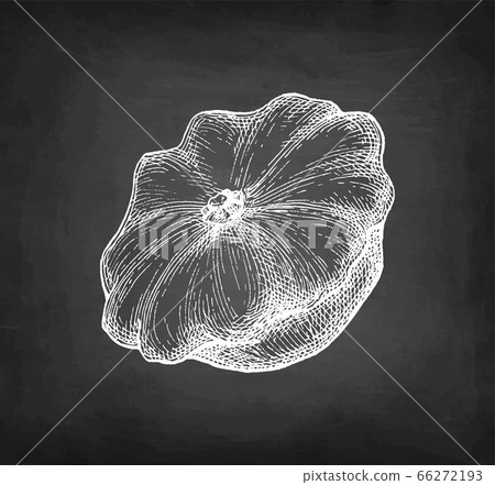 Chalk sketch of pattypan squash. 66272193