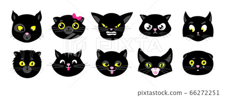 white cat squished face clipart