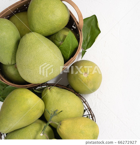 Pomelo mid-autumn festival white background go back pomelo isolated clipping path 切り抜き Pomelo mid-autumn festival white background go back pomelo isolated clipping path 切り抜き 66272927