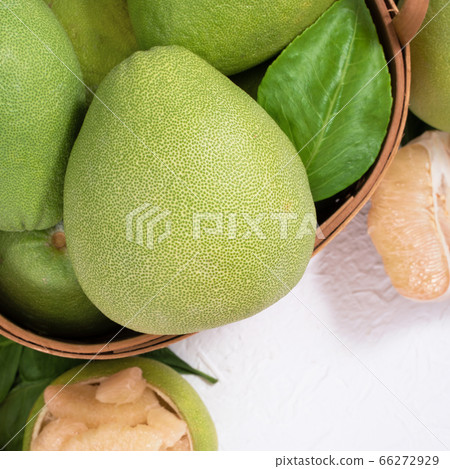 Pomelo mid-autumn festival white background go back pomelo isolated clipping path 切り抜き 66272929