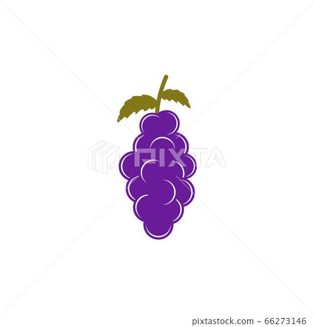 grape fruit vector design template illustration - Stock Illustration ...