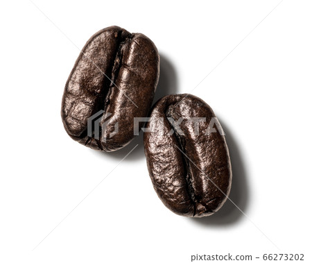 咖啡豆 66273202
