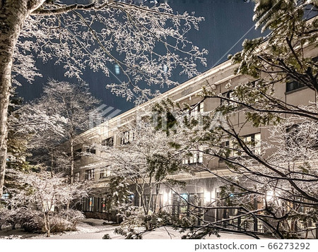 銀世界之夜 銀世界之夜 66273292