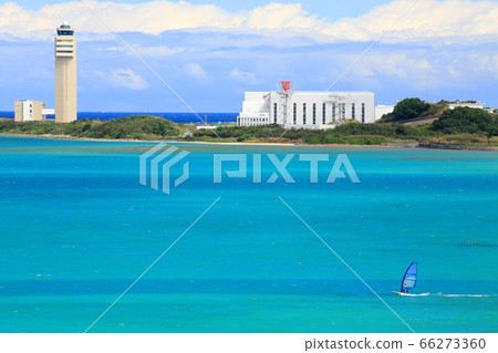 Windsurfing 66273360