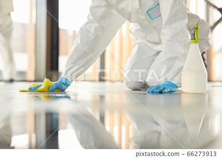 Professional Floor Cleaning 66273913
