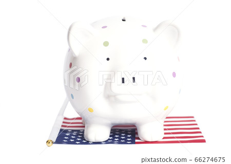 Piggy bank with American flag isolated on white 66274675