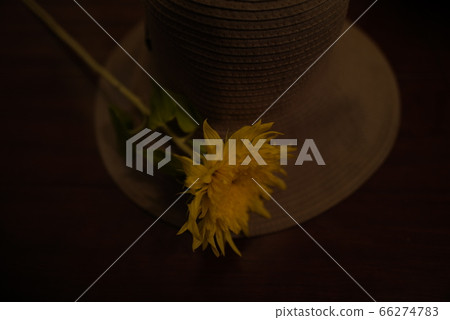 Straw hat and sunflower Straw hat and sunflower 66274783