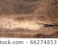 s路濕地在清晨 66274853