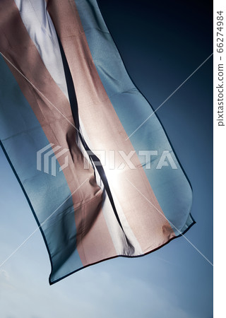 transgender pride flag waving on the blue sky 66274984