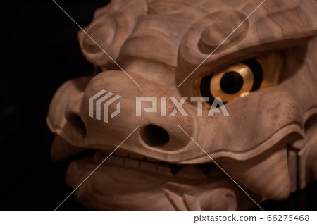 獅子頭 66275468