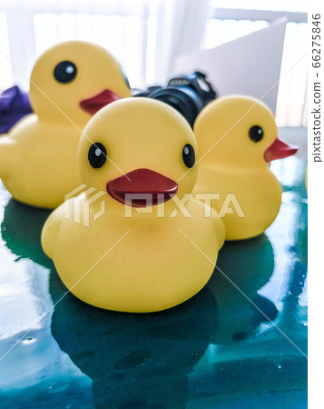 Beautiful yellow rubber bathtub toy ducks 66275846