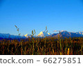 Grass and mountain 66275851