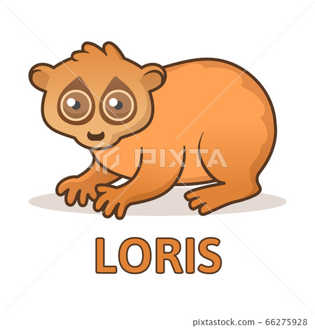 Cute loris sitting. Flat vector illustration with outline, isolated on white background. 66275928