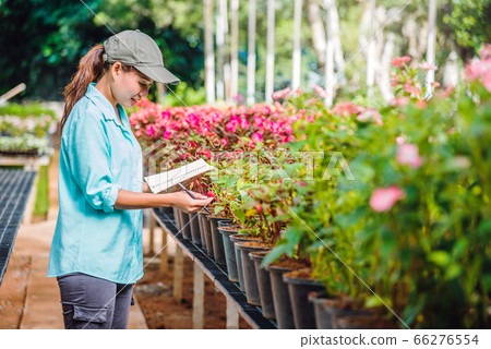 The girl are studying and Save the change of trees, flowers Beautiful garden flower 66276554