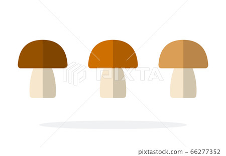 Champignon mushrooms vector flat material design isolated object on white background. Champignon mushrooms vector flat material design isolated object on white background. 66277352