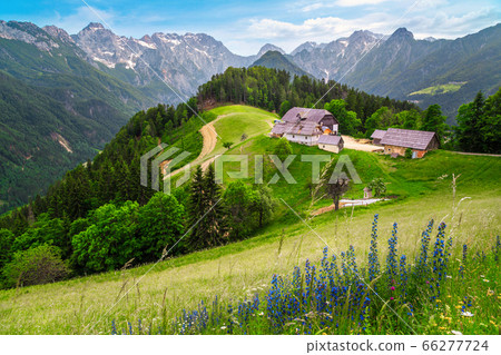 Logar valley view from the Solcava panoramic road, 66277724
