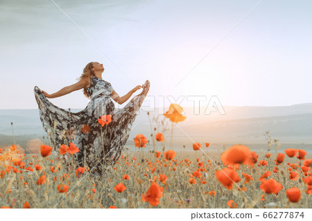 beautiful girl in a poppy field at sunset. beautiful girl in a poppy field at sunset. 66277874