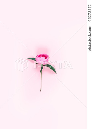 Top view, flat, minimal style. Vertical photo. Top view, flat, minimal style. Vertical photo. 66278372