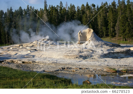 Giant geyser at Yellowstone, USA Giant geyser at Yellowstone, USA 66278523