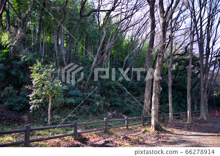 板橋區赤塚公園大門區域鳥類保護區 板橋區赤塚公園大門區域鳥類保護區 66278914