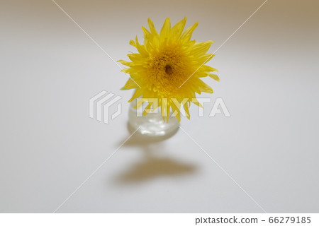 Sunflowers decorated with vase 66279185