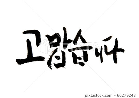 Korean handwritten calligraphy ,Thankful Hangeul Korean handwritten calligraphy ,Thankful Hangeul 66279248