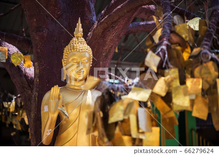 golden Buddha in Tiger cave temple, krabi 66279624