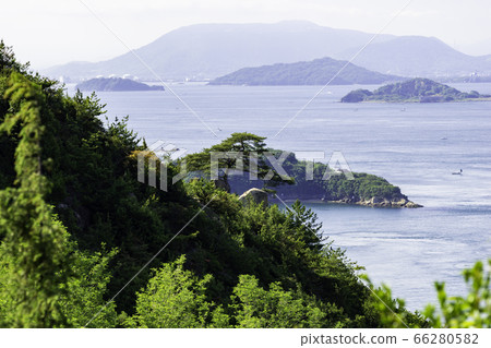 岡山縣倉山市u山一本松市 岡山縣倉山市u山一本松市 66280582