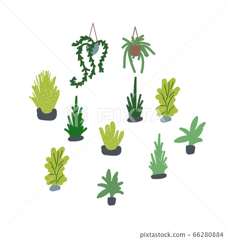 Houseplants vector illustration set. Succulents and greenery handdrawn plants. Houseplants vector illustration set. Succulents and greenery handdrawn plants. 66280884