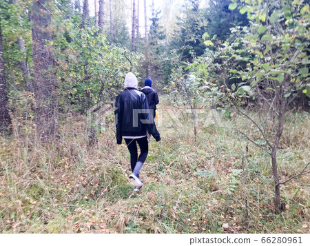 People, mushroom pickers in warm clothes People, mushroom pickers in warm clothes 66280961