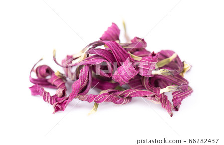 Dried Echinacea flowers, isolated on white 66282437