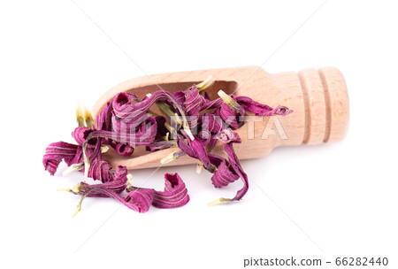 Dried Echinacea flowers on wooden spoon, isolated 66282440