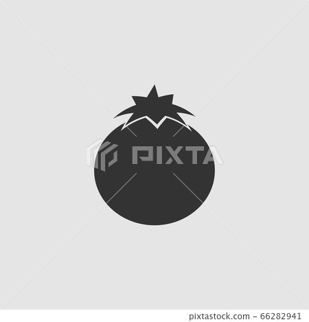 Tomato icon flat. Tomato icon flat. 66282941