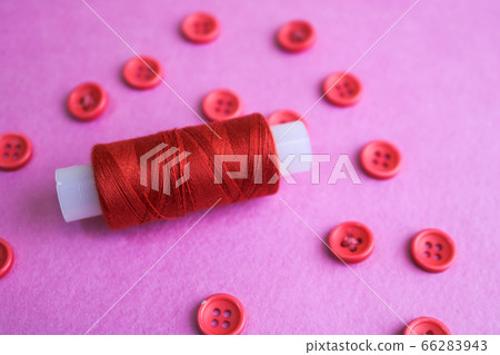 Beautiful texture with many round pink 66283943