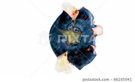 Macro isolated photo of crushed and squeezed blueberry berry over white background. Abstract background of berries and fruits. 66285041
