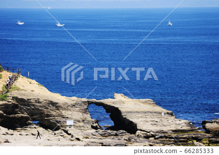 Jogashima Island in early summer 66285333