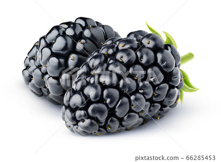 Two isolated blackberries Two isolated blackberries 66285453