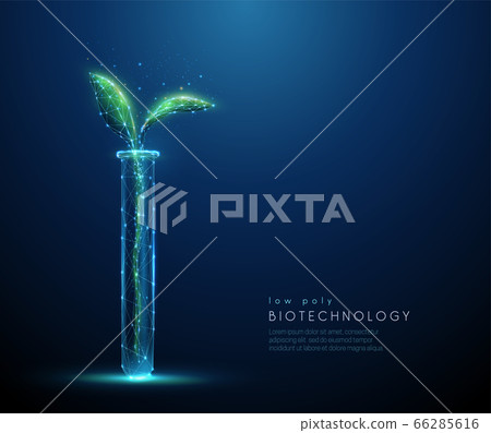 Green plant sprout in tube. Biotechnology concept Green plant sprout in tube. Biotechnology concept 66285616