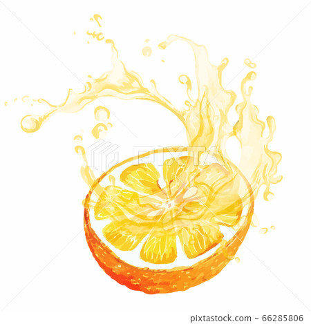 Half of citrus fruit with splash of juice 66285806