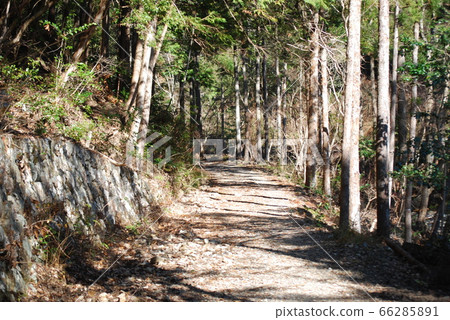 Mountain road 66285891