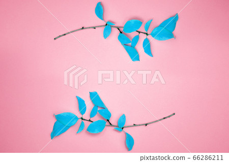 Autumn composition, frame of leaves.  66286211