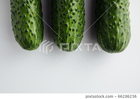 Cucumber on a white background. Minimum concept. Top view Cucumber on a white background. Minimum concept. Top view 66286236